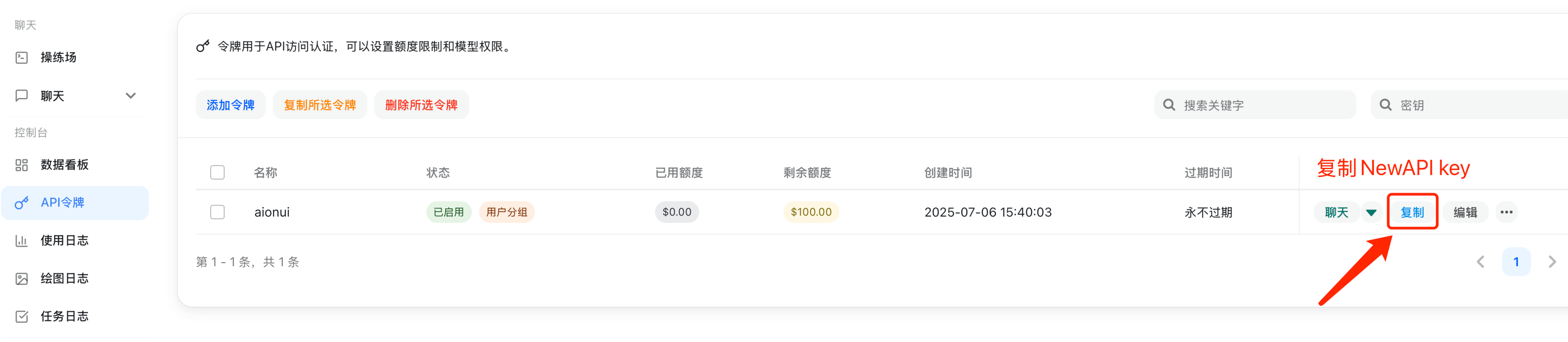 复制 API 密钥